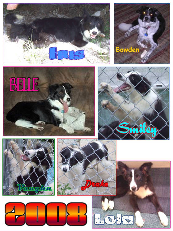 2008rescues.jpg