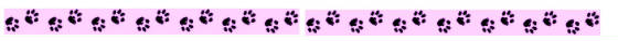 pawprints.jpg