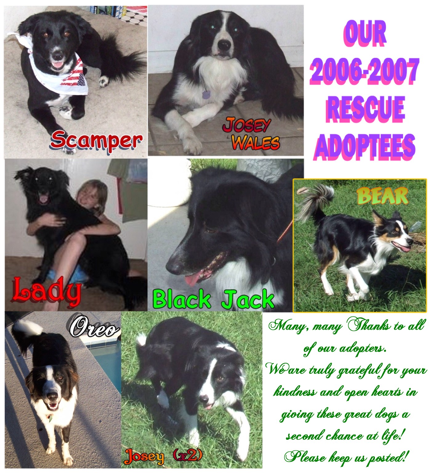 06-07rescues.jpg